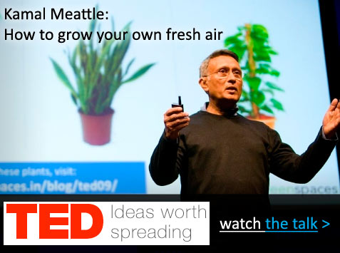 ted_talk_video_watchnow